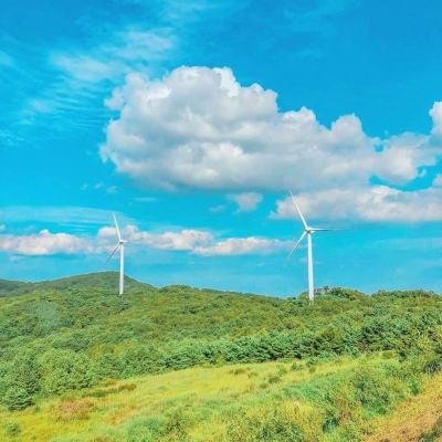 昆虫公主游戏下载